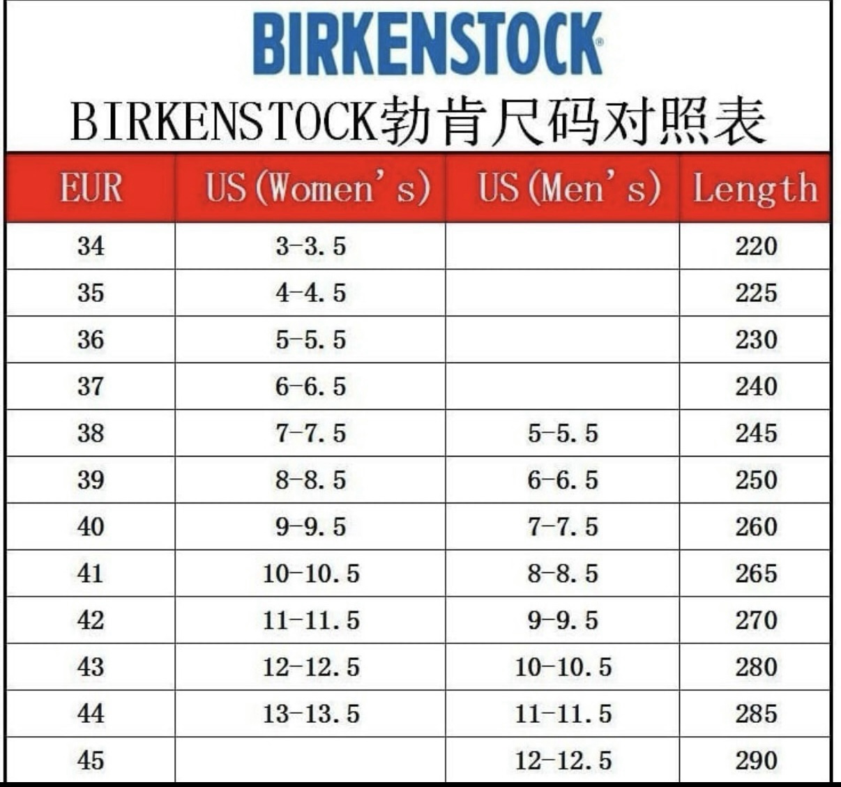 *PREORDER* Birks Slides - Image 2